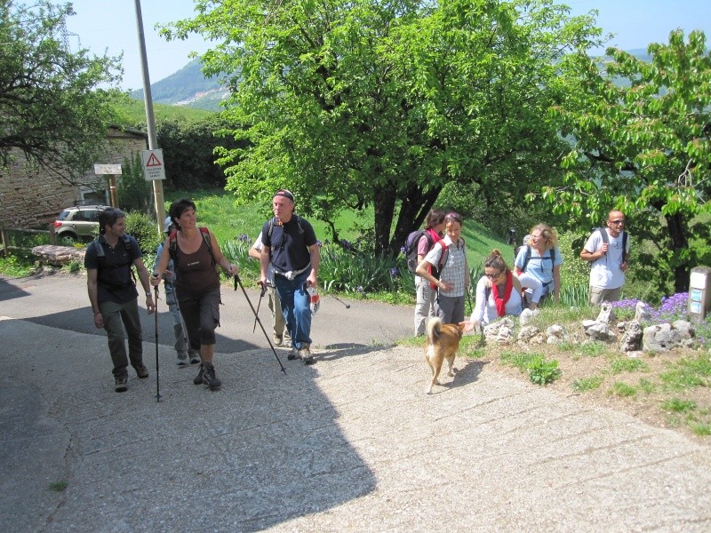 ESCURSIONE DEL 1/05/2011 Da Bellori ad Erbezzo con visita alla cima del Majocon Giro_d52