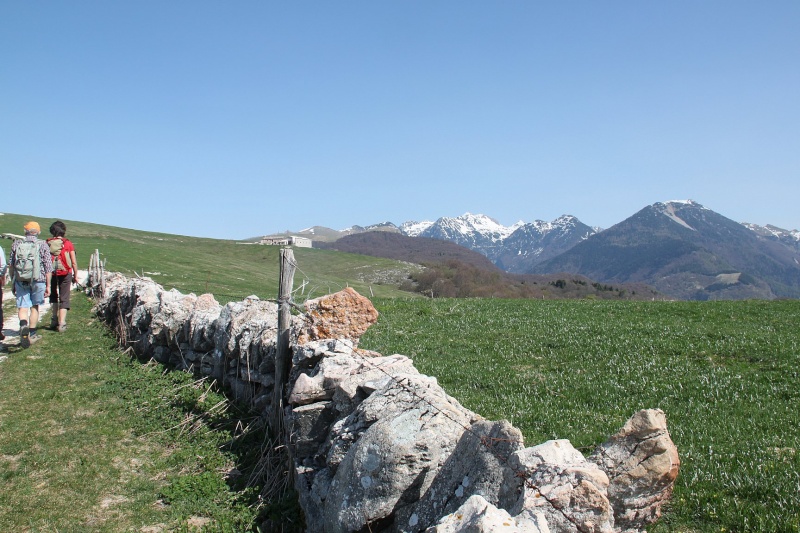 ESCURSIONE DEL 10/04/2011 da Camposilvano al Rifugio Alpino Lausen per il Monte Bellocca Img_2510