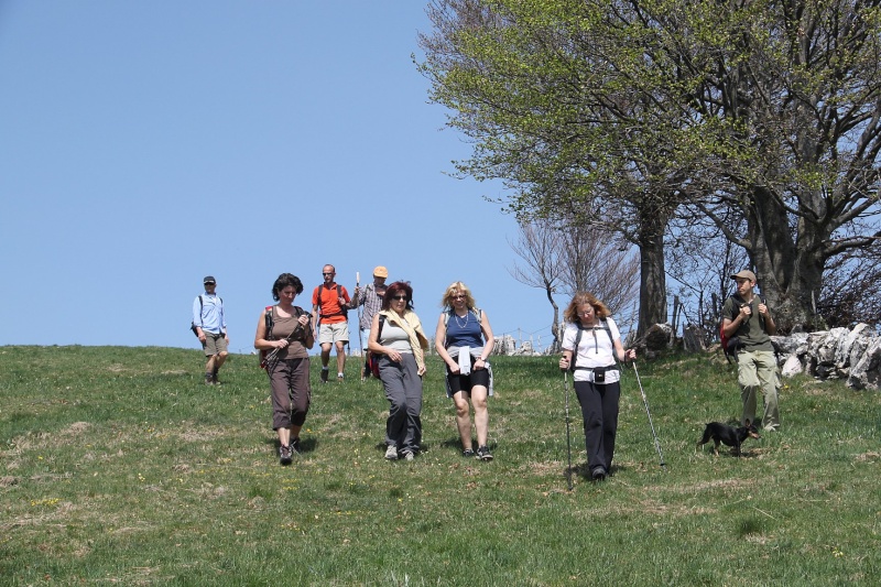 ESCURSIONE DEL 10/04/2011 da Camposilvano al Rifugio Alpino Lausen per il Monte Bellocca Img_2517