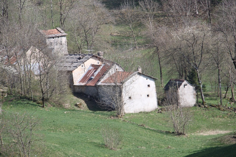 ESCURSIONE DEL 10/04/2011 da Camposilvano al Rifugio Alpino Lausen per il Monte Bellocca Img_2520