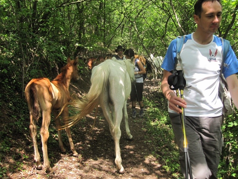 28-29 MAGGIO 2011 - TREKKING DELLA LESSINIA in 2 giorni da Giazza a Peri. Trekk121