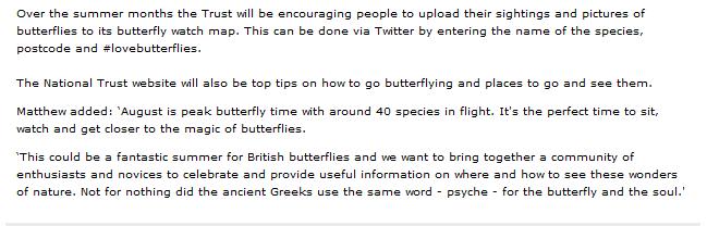 Good Butterfly news We241