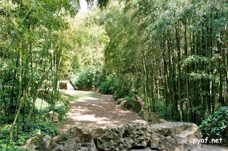 Bioparc de Doué la Fontaine Pyafne10