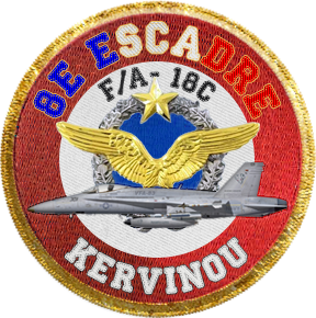 ◾ F-14 Tomcat Kervin13