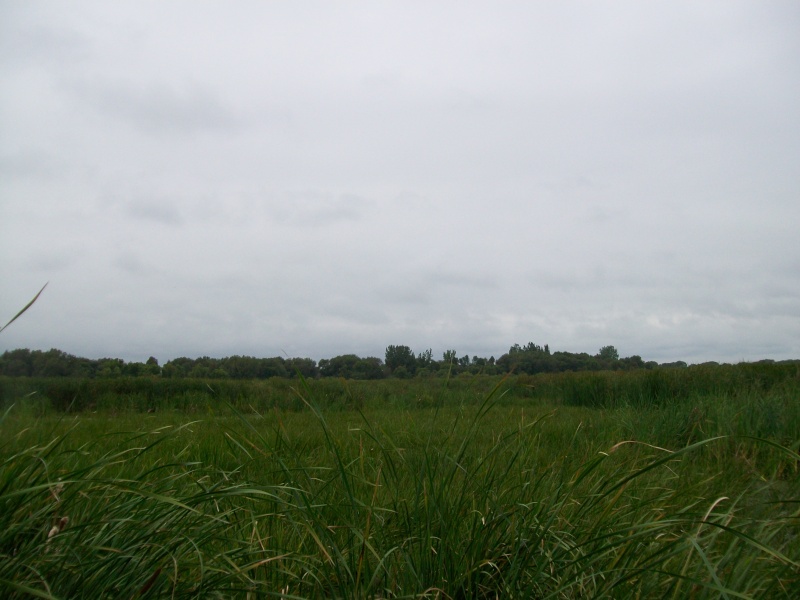 Je suis pret pour la chasse auc canard 2010 Chasse15