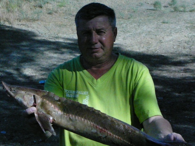 Рыбалка на Волги. P1070310