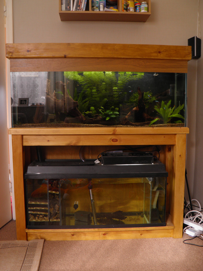 Large fish tank plus sump with RO and loads of stuff fishtank aquarium P6220010