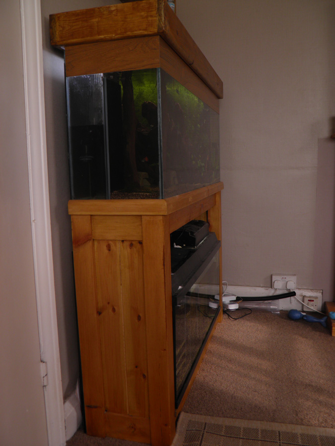 Large fish tank plus sump with RO and loads of stuff fishtank aquarium P6220011