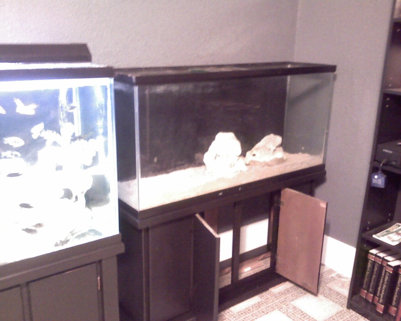 Fish Room Underconstruction!!! - Page 2 Image_61