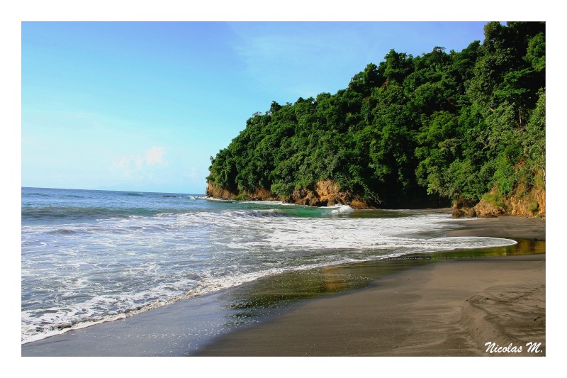 Une des plus belles plages de Martinique Img_1510