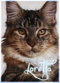 Loretta - kleines Mäuschen und Wildfang GLEICHZEITIG Lorett10