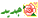 جديد جديد