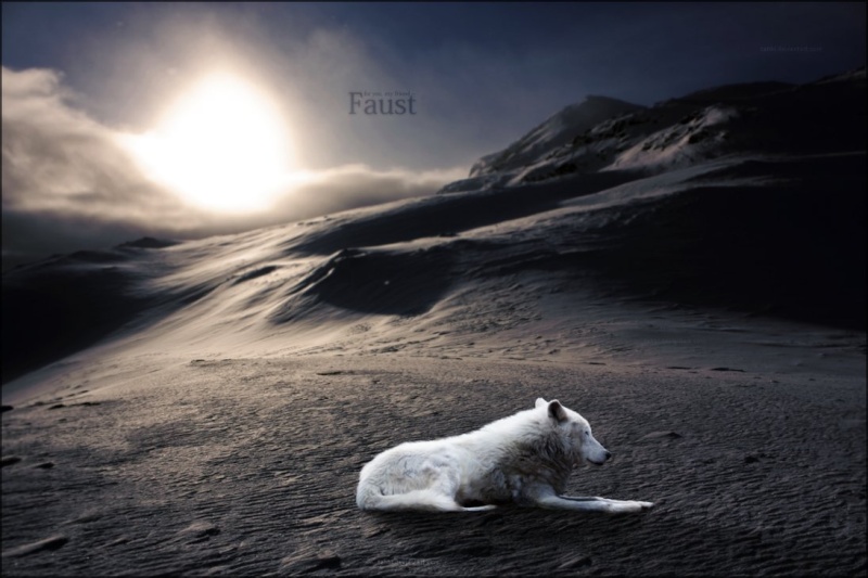 Best Wolves Of Twisted Faust_10
