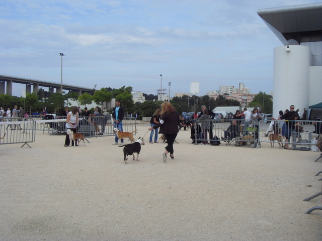 martigues avril 2011 Sdc11510