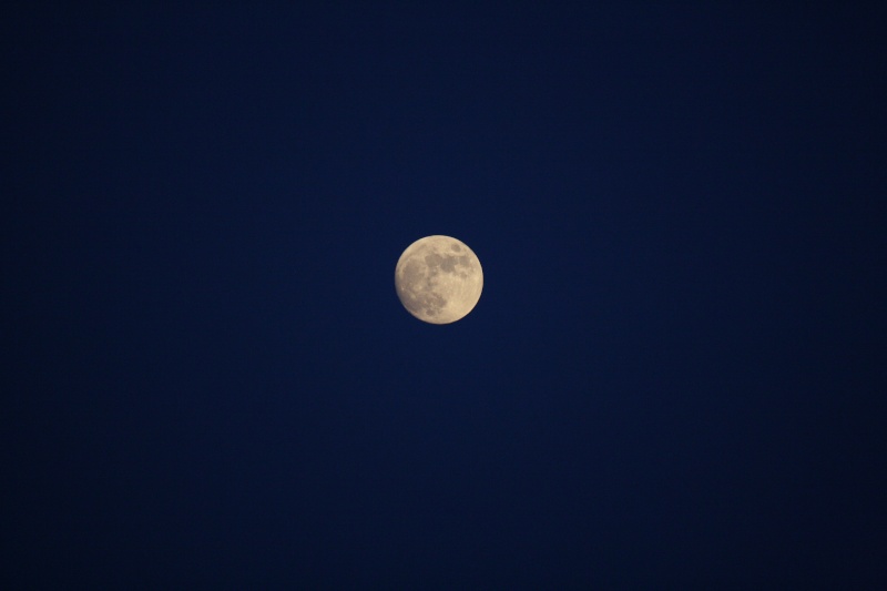  Eclissi totale di Luna mercoledì 15 Giugno Img_1316