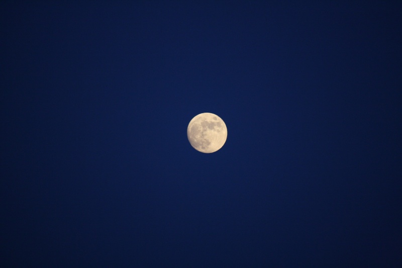  Eclissi totale di Luna mercoledì 15 Giugno Img_1317