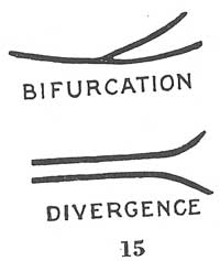 The TRIRADIUS in a fingerprint: how it develops, it's characteristics + a definition! - Page 16 Fig01510