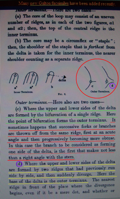 The TRIRADIUS in a fingerprint: how it develops, it's characteristics + a definition! - Page 14 Galton10