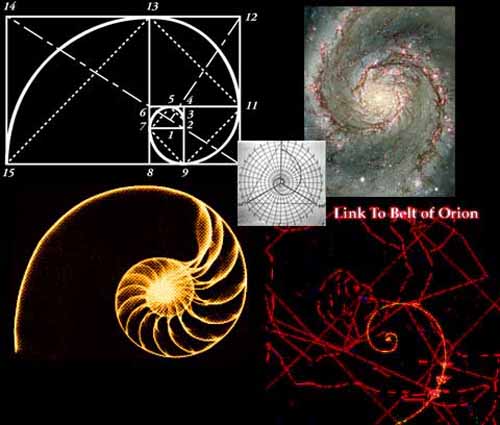 The TRIRADIUS in a fingerprint: how it develops, it's characteristics + a definition! - Page 15 Golden10