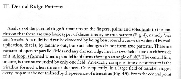 The TRIRADIUS in a fingerprint: how it develops, it's characteristics + a definition! - Page 6 Penros12