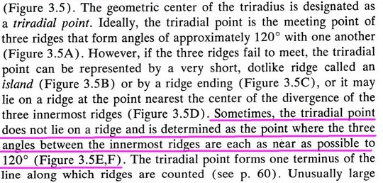 The TRIRADIUS in a fingerprint: how it develops, it's characteristics + a definition! - Page 11 Schaum10