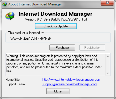 عملاق التحميل من الانترنت Internet Download Manager 6.01 Build 6 Beta في اصداره الاخبر  25082010