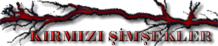 212 bin kişilik nüfusa 2 noter Logo4z11