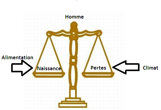 [Cours] Partie II Schama11