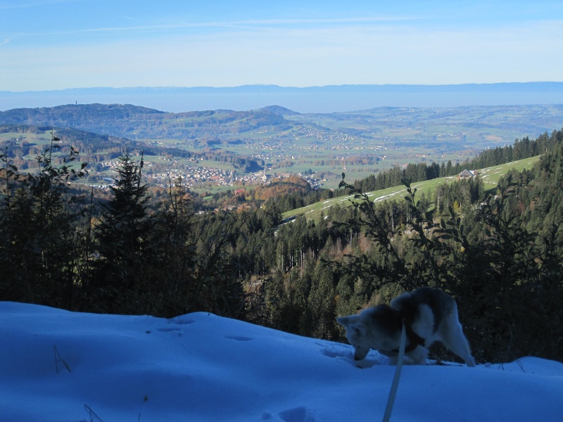 Après la tempête de neige du 25 octobre... Img_2715