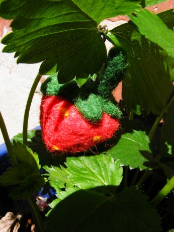 gefilzte Erdbeere - noch mehr Erdbeeren Erdbee11