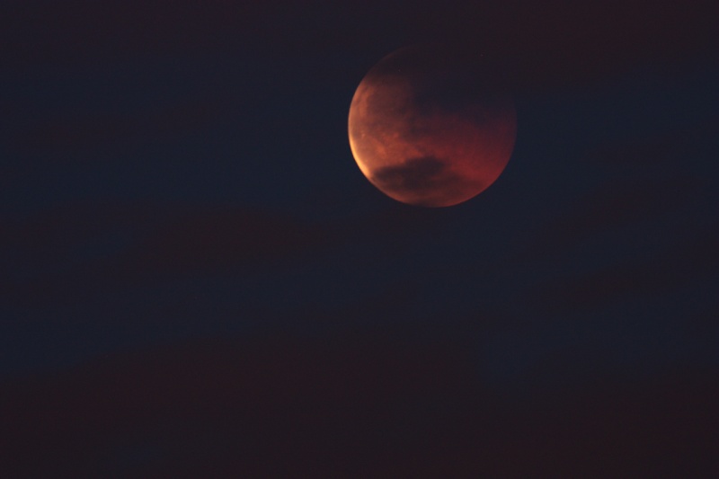 Eclipse de Lune du 15 Juin 80edec11