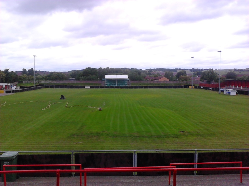 Pitch Renovations  - Page 2 2011-076