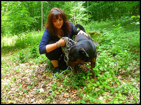 Daya ne 09 / 2009 rottweiler Spa Velaine en Haye ( 54 )  Daya__10