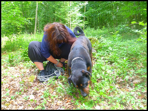 Daya ne 09 / 2009 rottweiler Spa Velaine en Haye ( 54 )  Daya_e10