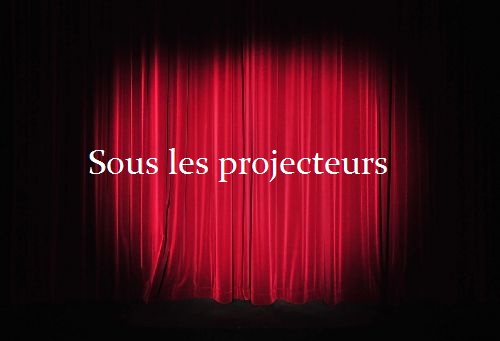 Projecteurs sur ... Robin Schöne ! Sous_l12