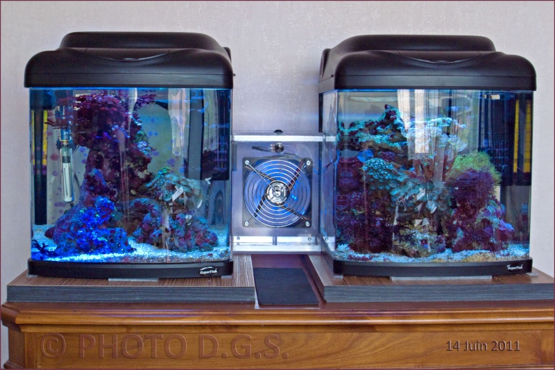 refroidissement - SYSTEME DE REFROIDISSEMENT pour Pico et Nano aquarium DIY Vue_de11