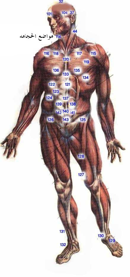 فوائد الحجامه  Hh7net10