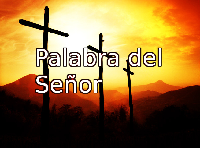 banner10.jpg