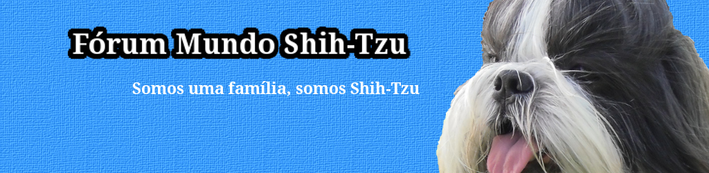 Mundo Shih-Tzu