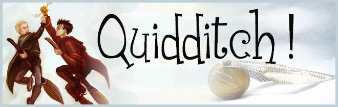 Les équipes  de Quidditch Quiddi10
