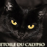 Etoile du Calypso = chef ombre 1_avat11
