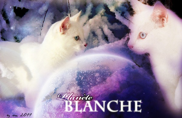 PLANETE BLANCHE - Guerrier- LUNE 2011_p17