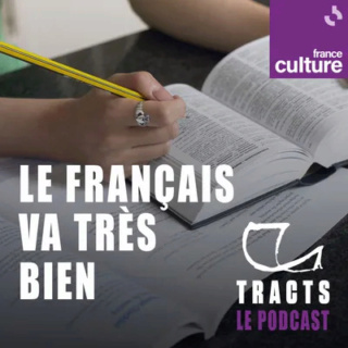 le Français un langage objet d'une bataille entre l'académie française et les linguistes 400x4010