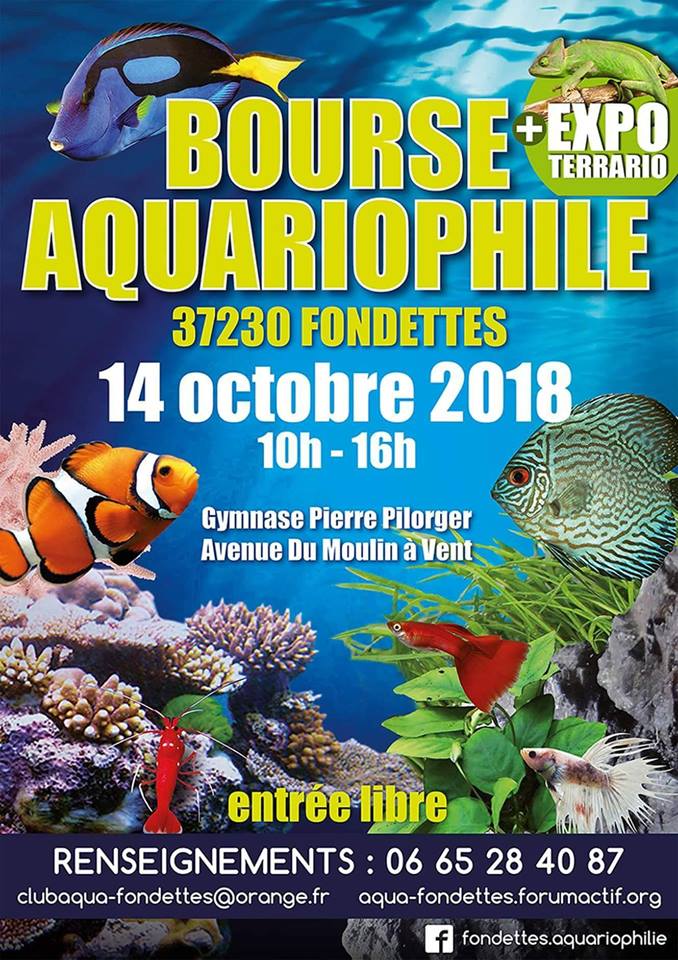  bourse aquariophile la Fondettes  Bourse10