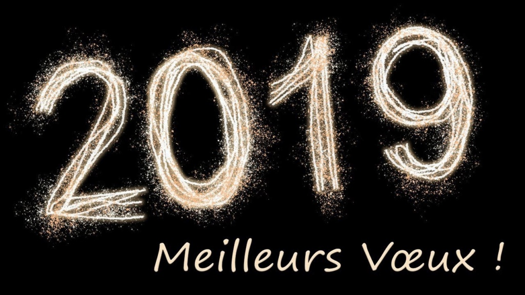 bonne année 2019  Maxres10
