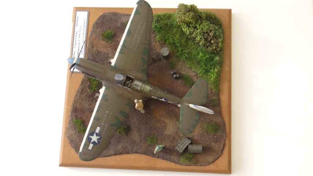 Mise à jour du camouflage de mon Curtiss P-40 N 5 CU 49th FG - 7 FS - Maquette Mauve 1/48 Dsc05834