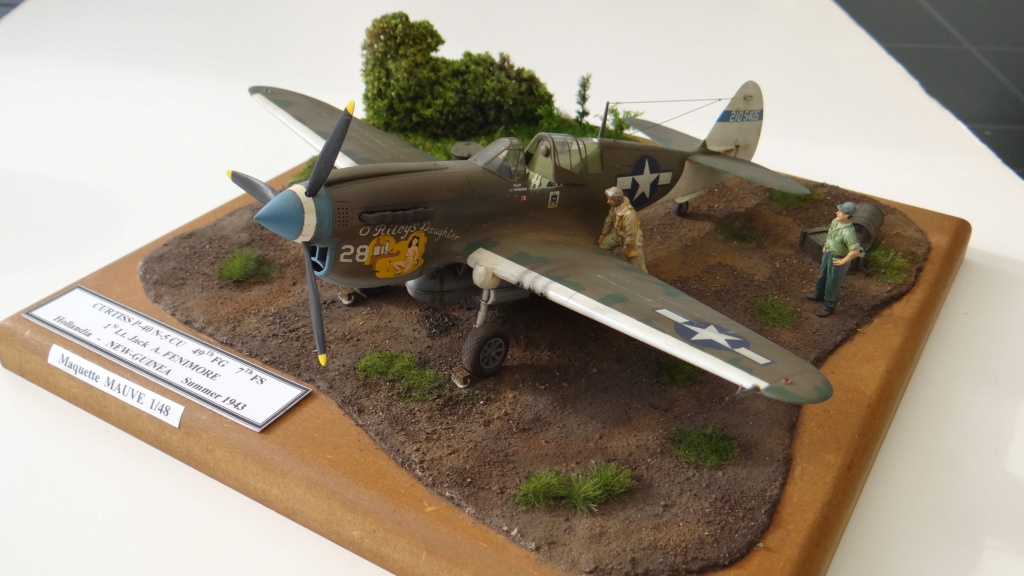 Mise à jour du camouflage de mon Curtiss P-40 N 5 CU 49th FG - 7 FS - Maquette Mauve 1/48 Dsc05835