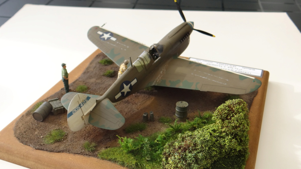 Mise à jour du camouflage de mon Curtiss P-40 N 5 CU 49th FG - 7 FS - Maquette Mauve 1/48 Dsc05838