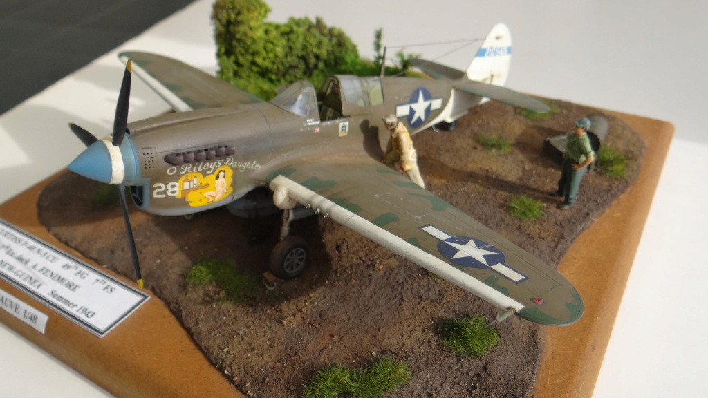 Mise à jour du camouflage de mon Curtiss P-40 N 5 CU 49th FG - 7 FS - Maquette Mauve 1/48 Dsc05840