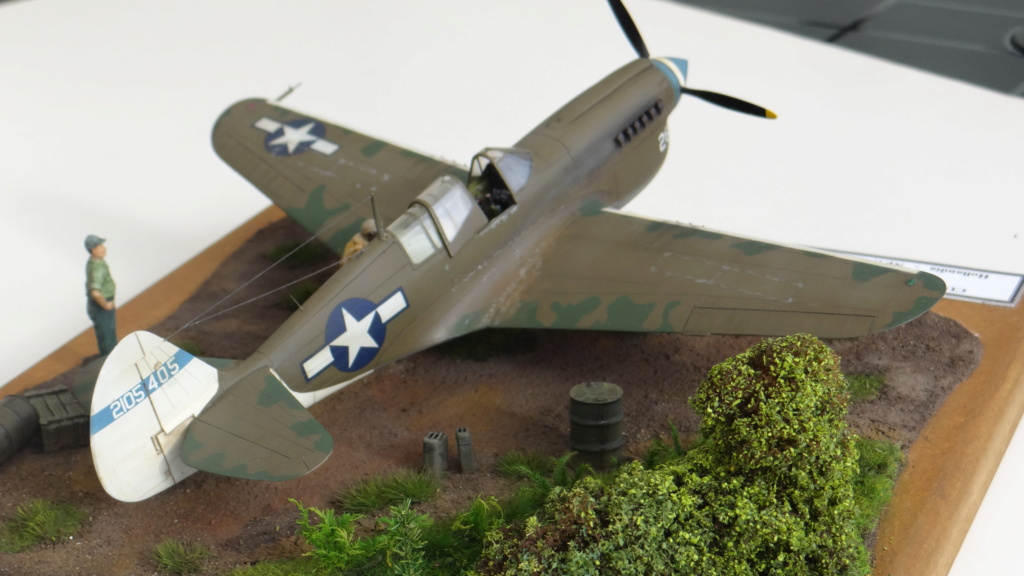 Mise à jour du camouflage de mon Curtiss P-40 N 5 CU 49th FG - 7 FS - Maquette Mauve 1/48 Dsc05842